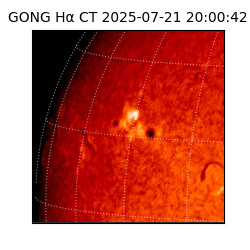 gong - 2025-07-21T20:00:42
