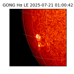 gong - 2025-07-21T01:00:42
