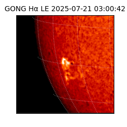 gong - 2025-07-21T03:00:42
