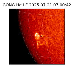 gong - 2025-07-21T07:00:42