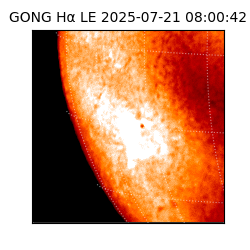 gong - 2025-07-21T08:00:42