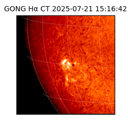 gong - 2025-07-21T15:16:42