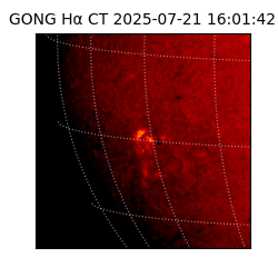 gong - 2025-07-21T16:01:42