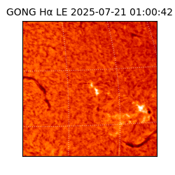 gong - 2025-07-21T01:00:42