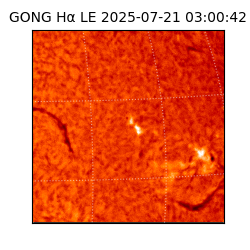 gong - 2025-07-21T03:00:42