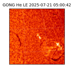 gong - 2025-07-21T05:00:42