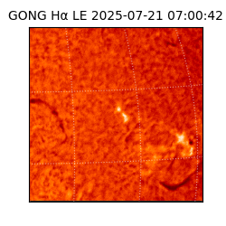 gong - 2025-07-21T07:00:42