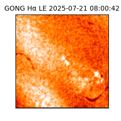 gong - 2025-07-21T08:00:42
