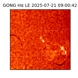 gong - 2025-07-21T09:00:42
