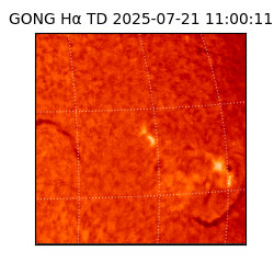 gong - 2025-07-21T11:00:11