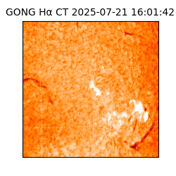 gong - 2025-07-21T16:01:42