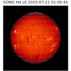 gong - 2025-07-21T01:00:42