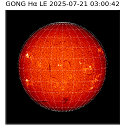 gong - 2025-07-21T03:00:42