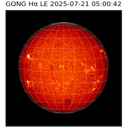gong - 2025-07-21T05:00:42