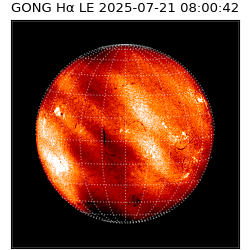 gong - 2025-07-21T08:00:42