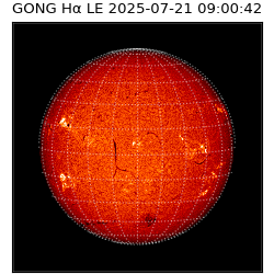 gong - 2025-07-21T09:00:42