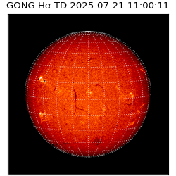 gong - 2025-07-21T11:00:11