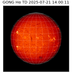 gong - 2025-07-21T14:00:11