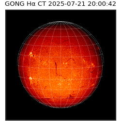 gong - 2025-07-21T20:00:42