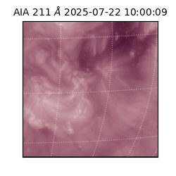 saia - 2025-07-22T10:00:09.626000