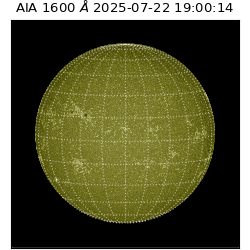 saia - 2025-07-22T19:00:14.126000