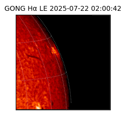gong - 2025-07-22T02:00:42