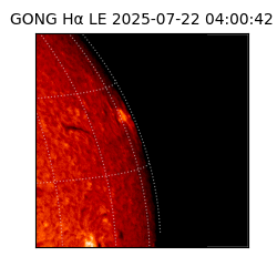 gong - 2025-07-22T04:00:42