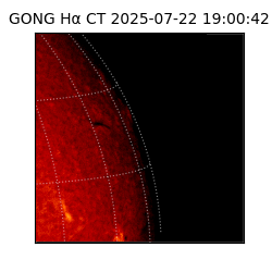 gong - 2025-07-22T19:00:42