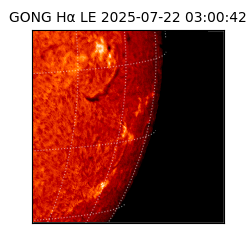 gong - 2025-07-22T03:00:42
