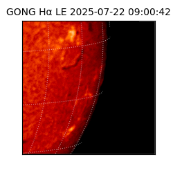 gong - 2025-07-22T09:00:42