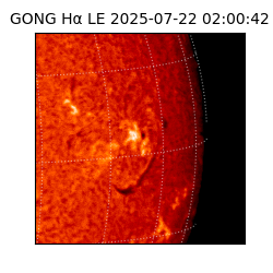 gong - 2025-07-22T02:00:42