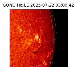 gong - 2025-07-22T03:00:42