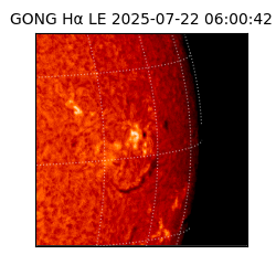 gong - 2025-07-22T06:00:42