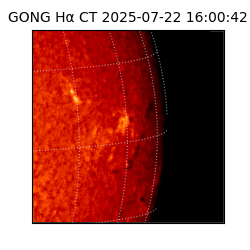 gong - 2025-07-22T16:00:42