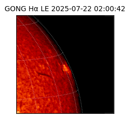 gong - 2025-07-22T02:00:42