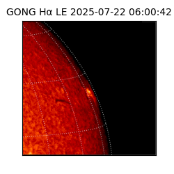 gong - 2025-07-22T06:00:42