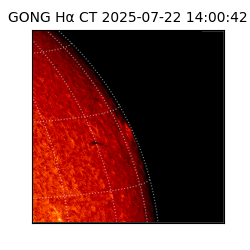 gong - 2025-07-22T14:00:42