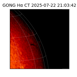gong - 2025-07-22T21:03:42