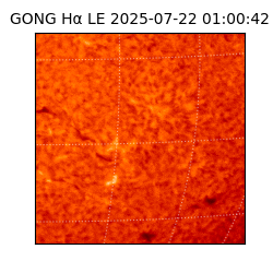 gong - 2025-07-22T01:00:42