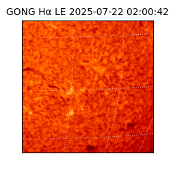 gong - 2025-07-22T02:00:42