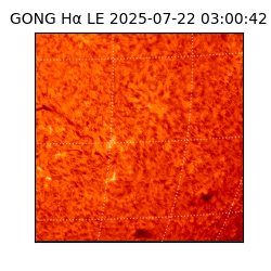 gong - 2025-07-22T03:00:42