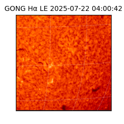gong - 2025-07-22T04:00:42