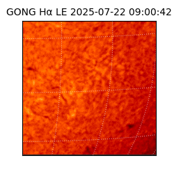 gong - 2025-07-22T09:00:42