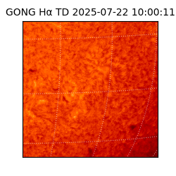 gong - 2025-07-22T10:00:11