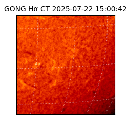 gong - 2025-07-22T15:00:42