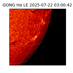 gong - 2025-07-22T03:00:42