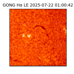 gong - 2025-07-22T01:00:42