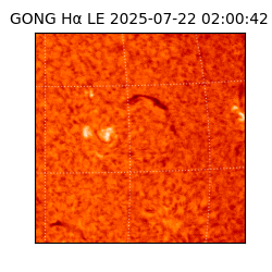 gong - 2025-07-22T02:00:42