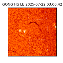 gong - 2025-07-22T03:00:42