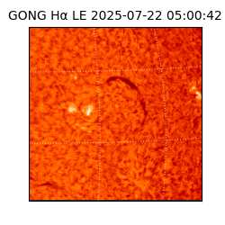 gong - 2025-07-22T05:00:42